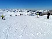 Leichte Pisten starten am Steinbergkogel
