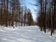 Leichte Piste Azeria