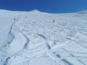 Tiefschneehang an der Rossmoosbahn