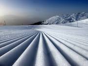Bestens präparierte Piste in Laax