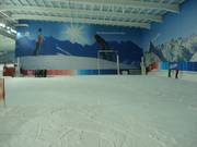 Anfängerpiste im unteren Teil der Skihalle