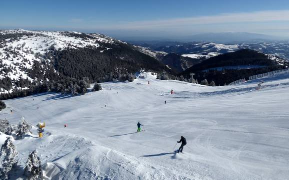 Pistenangebot Serbien – Pistenangebot Kopaonik