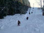 Elektrolift (Lift 3) - Schlepplift mit T-Bügel/Anker