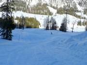 Wellenbahn am Junior-Jet