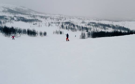 Skigebiete für Anfänger in Valdres – Anfänger Beitostølen