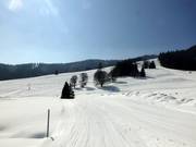 Das Skigebiet Menzenschwand gehört zu den mittelgroßen Skigebieten im Südschwarzwald.