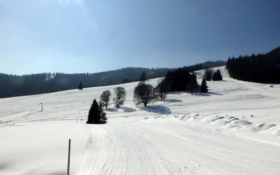 Waldshut: Größe der Skigebiete – Größe Menzenschwand (St. Blasien) – Spießhorn