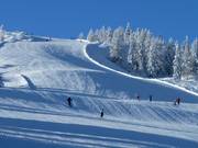 Kupiertes Gelände am spacejet 3