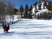 Skigebiete für Anfänger in Idaho – Anfänger Bald Mountain – Sun Valley