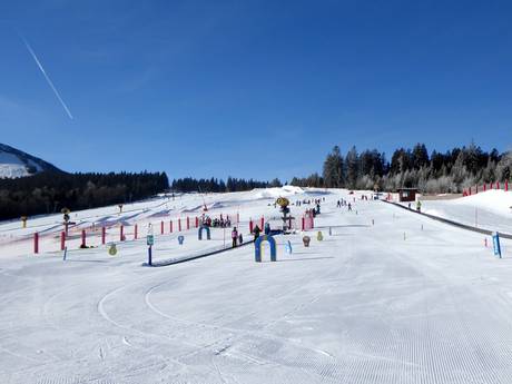 Familienskigebiete Süddeutschland – Familien und Kinder Arber