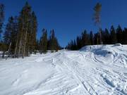 Tiefschneevariante in Hafjell