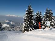 Start der Skirouten am Nob