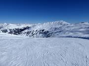 Leichte Piste Gensbichlalm-Braunkogel