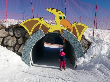 Familienskigebiete Chiemgau – Familien und Kinder Steinplatte Winklmoosalm – Waidring/Reit im Winkl