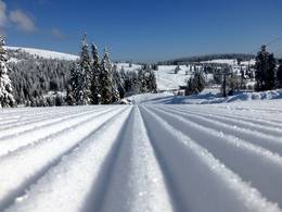 Feldberg – Seebuck/Grafenmatt/Fahl