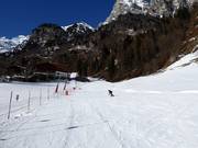 Skiwiese Innerpflersch