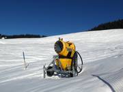 Schneekanone in Grasgehren