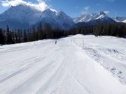 Leichte Talabfahrt nach Ftan