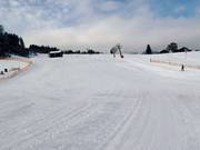 Buckelwiesen Abfahrt