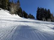 Leichte Piste Seehof