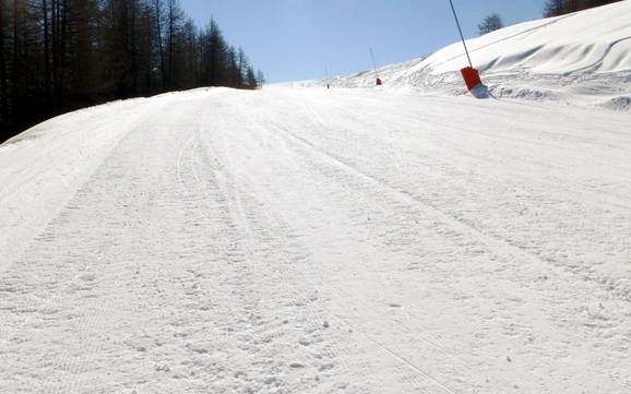 Skigebiete für Anfänger im Vallée de la Tinée – Anfänger Auron (Saint-Etienne-de-Tinée)