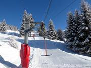 Fracherets - Tellerlift