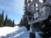 Tweener Poma - Tellerlift