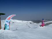 Tipp für die Kleinen  - Shark Fun Trail