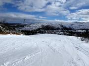 Leichte Piste Lätta Blåbär