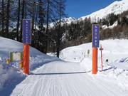 Schlitteln nach Ftan