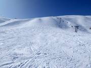 Freeridegelände am Männlichen