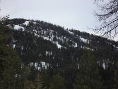 Bilder Loup Loup Ski Bowl