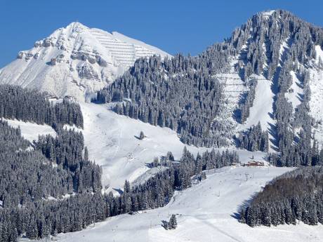 Außerfern: Größe der Skigebiete – Größe Berwang/Bichlbach/Rinnen