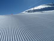 Auch im Detail sehr schön