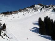 Breite Piste am Walmendingerhorn