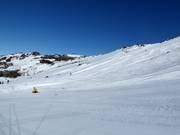 Blick über die Pisten im Bereich Central Spur