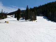 Talabfahrten Haywood und Schoolmarm