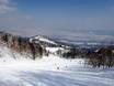 Japan: Testberichte von Skigebieten – Testbericht Furano