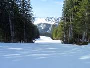 Leichte Familienabfahrt