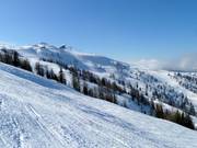 Weites Gelände an der Kaiserburg