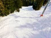 Waldschneise unterhalb der 4er Sesselbahn Méné