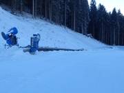 Biancaneve - Förderband/Zauberteppich