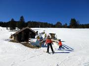 Übungslift Kranzberg Comfort Star - Seillift/Babylift mit niederer Seilführung