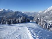 Mittelschwere Piste am Rastkopf