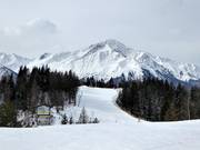 Pisten am Brennerköpfl