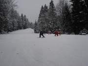 Bereits nach kurzer Zeit fahren die Kleinen schon alleine