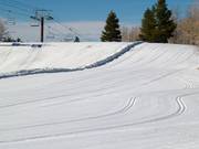 McCoy Park Nordic Sports Center