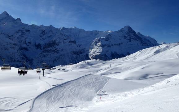 Skifahren in Grindelwald