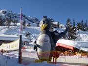 Tipp für die Kleinen  - Bobo's Kinderclub der Skischule Hochzillertal