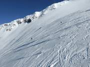 Freerider am Gletscher Jet